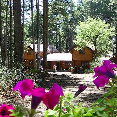 Chalet Clan Dei Ragazzi Otel Linguaglossa Dış mekan fotoğraf